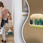 Gospodinele au fost îndemnate să își trateze casele cu pastă